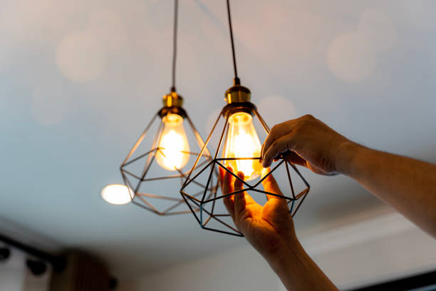 Best Electric Panel Repair  in Westland, MI